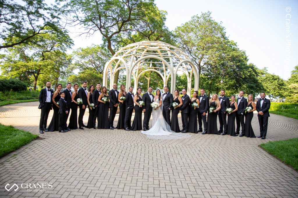 Large wedding party photos outside The Drake hotel in Chicago