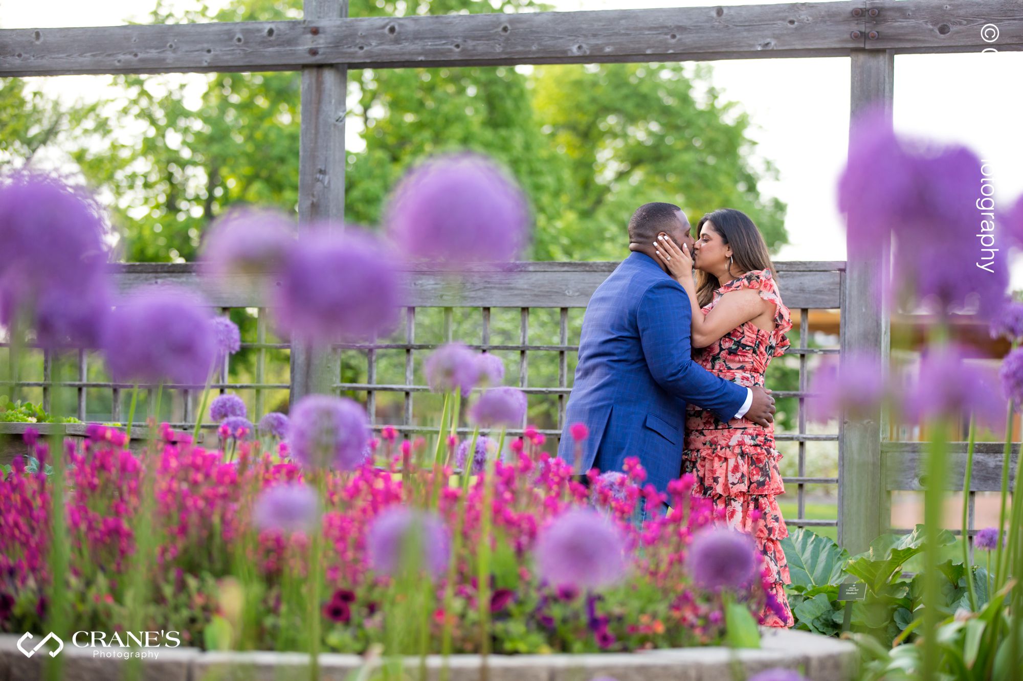 An engaged couple kissing next to purple flowers at Idea Garden at Cantigny Park in Wheaton, IL.