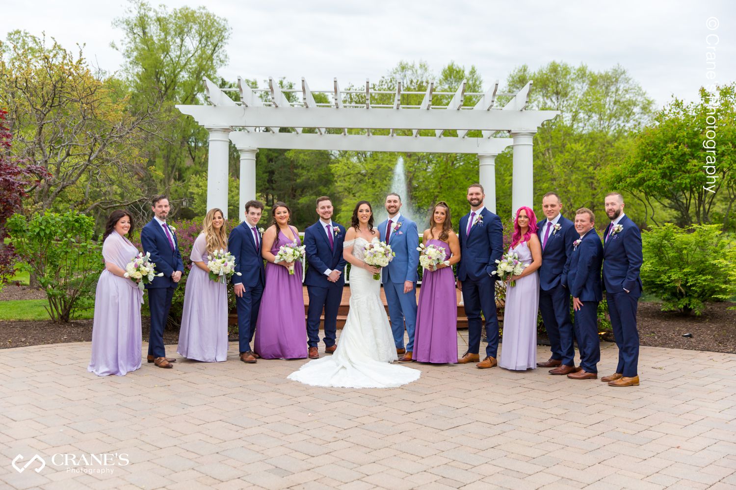 Wedding party photo outside Concorde Banquets in Kildeer, IL