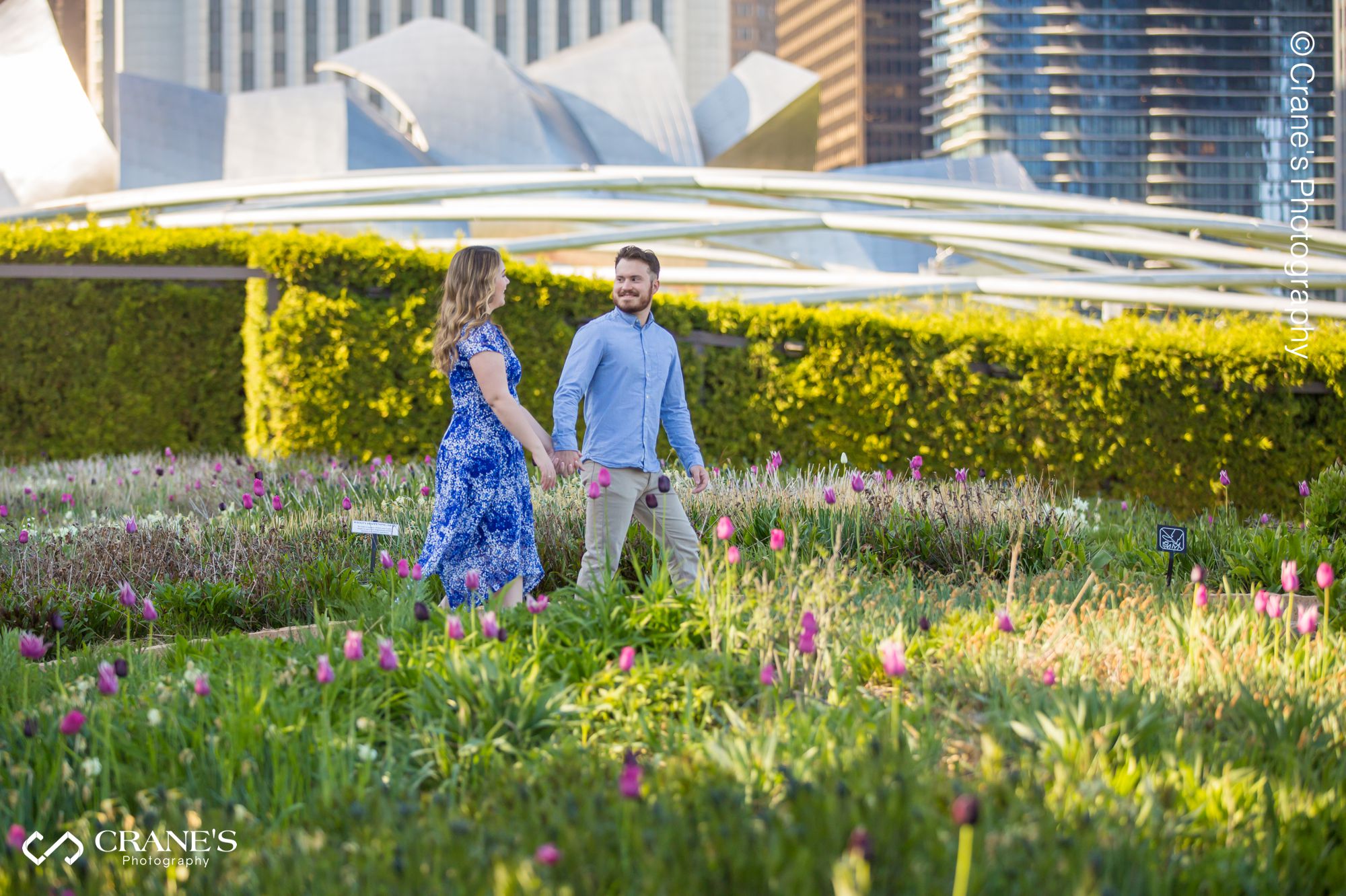 An engaged couple walk hand in hand at Lurie Garden