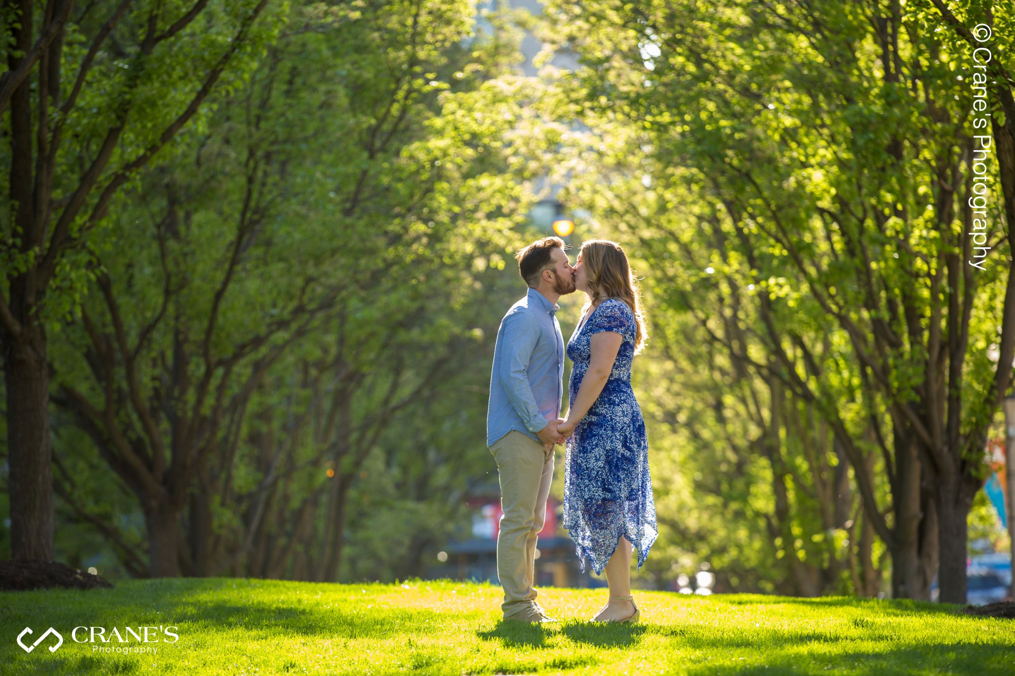 A couple kissing with a beautiful trees in the background