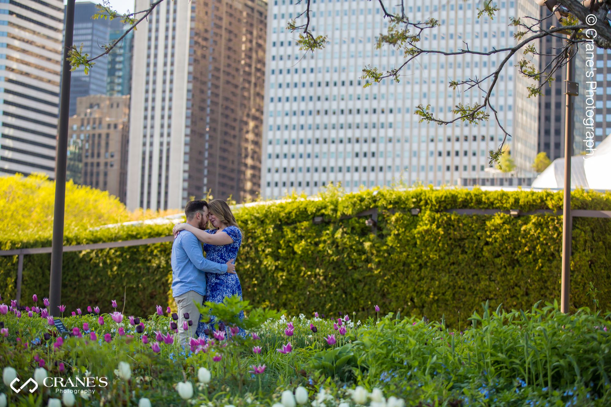 A posed image of a couple surrounded with flowers with the city in the background