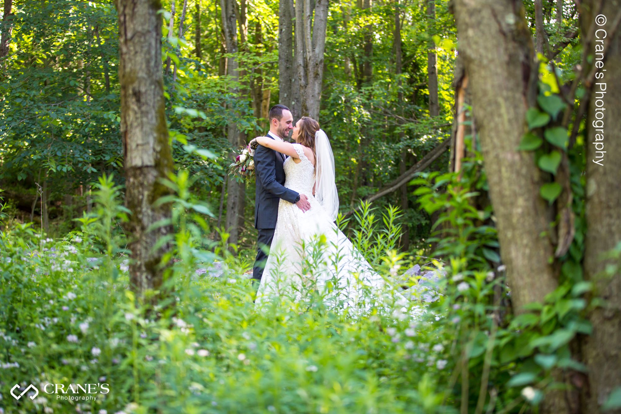 The Swan Barn Door wedding photo showing the forest in the background