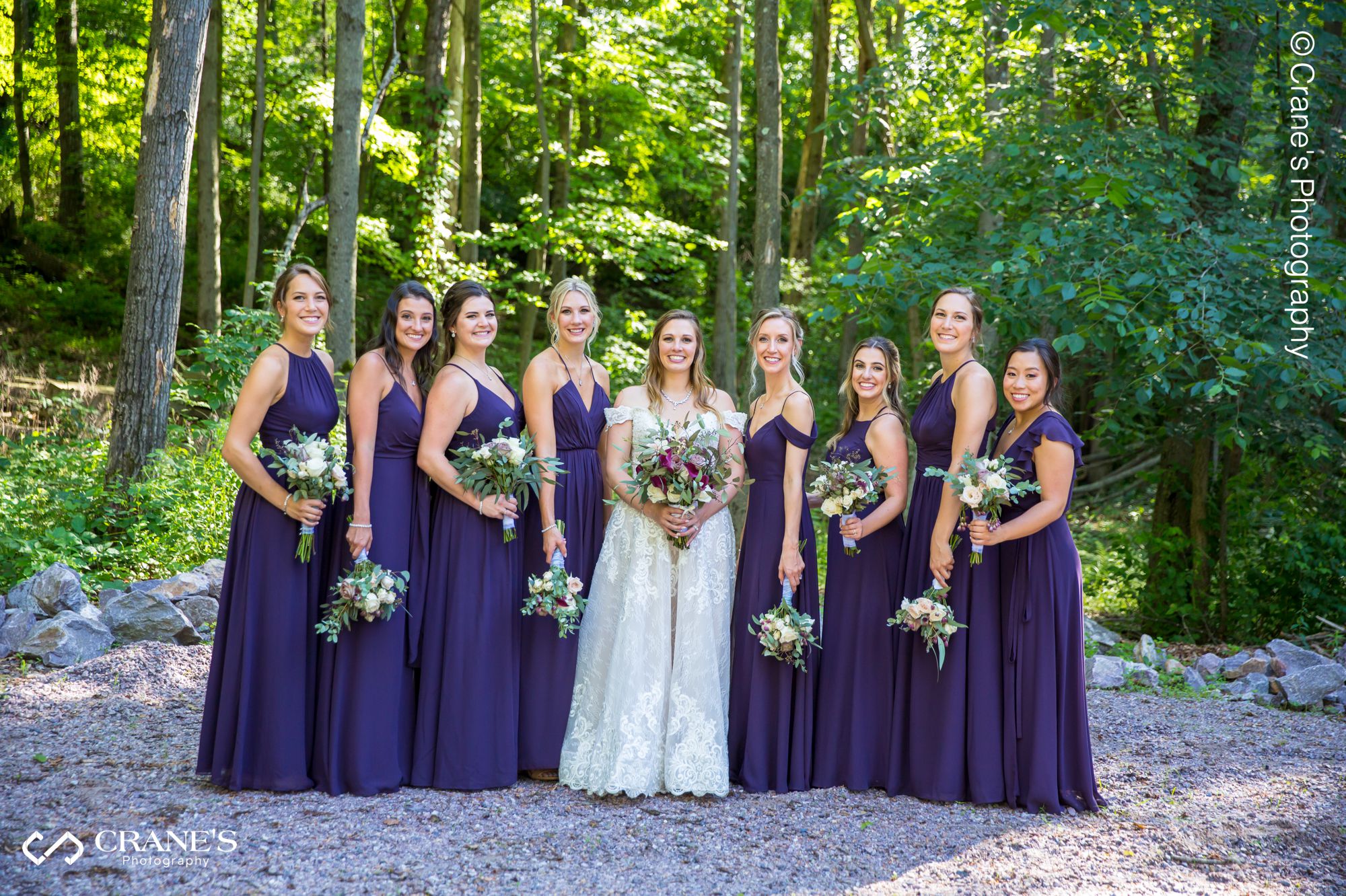 Bridal party photo at The Swan Barn Door with the wood in the background