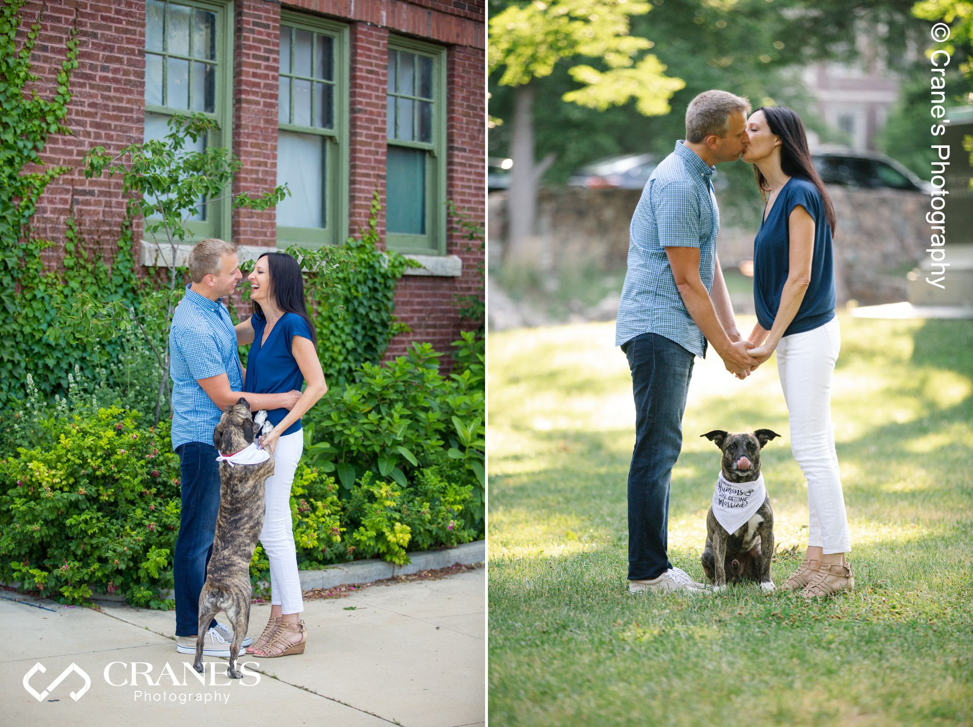  A summer Chicago engagement session with a dog wearing a bandana