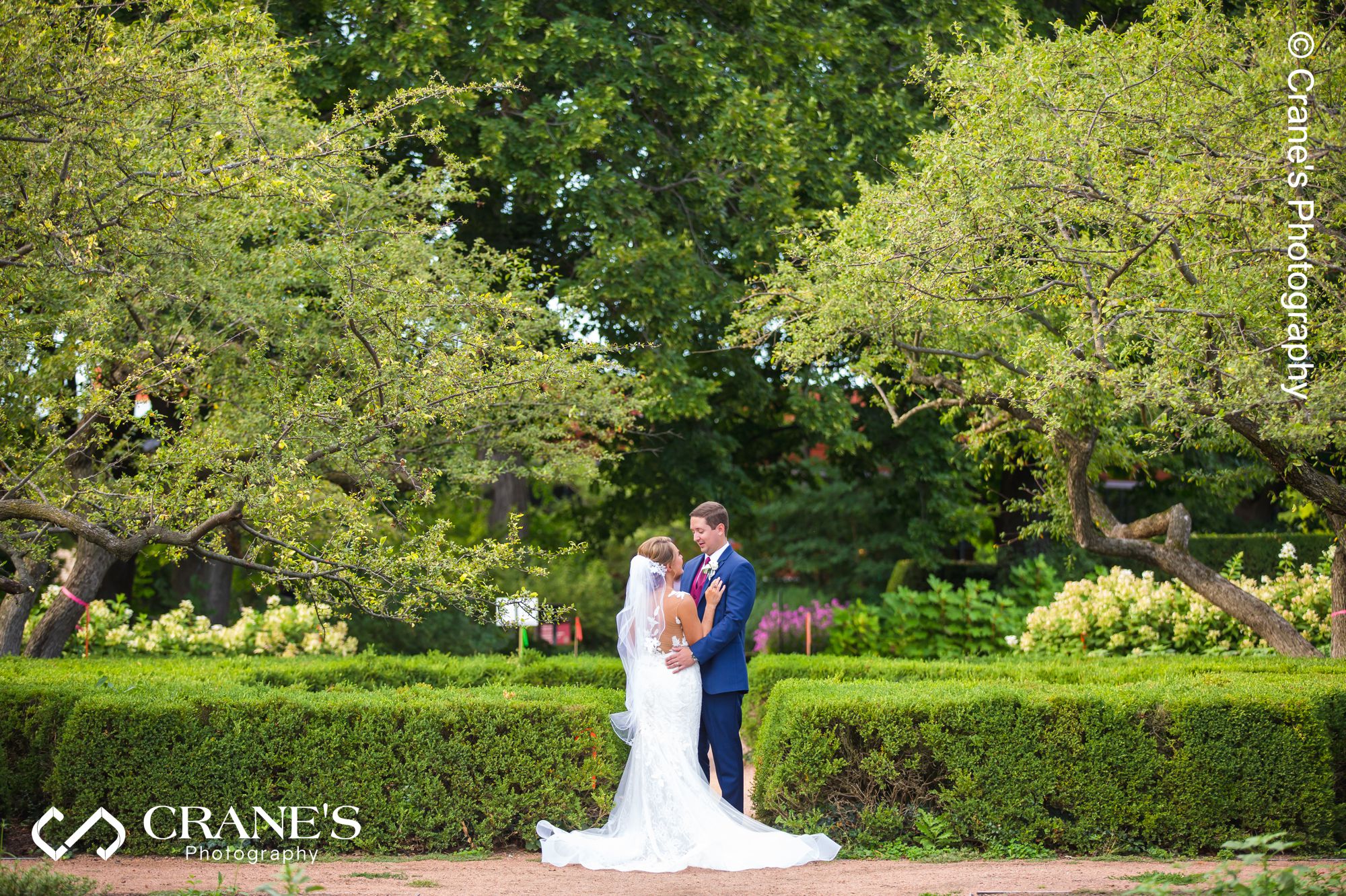 A summer bride and groom wedding portrait at the Morton Arboretum