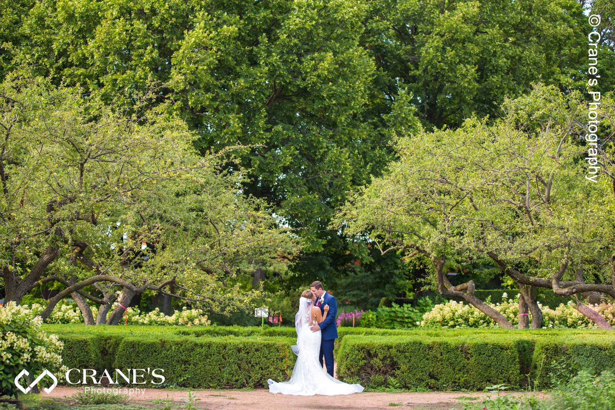 Wedding photography at the Morton Arboretum