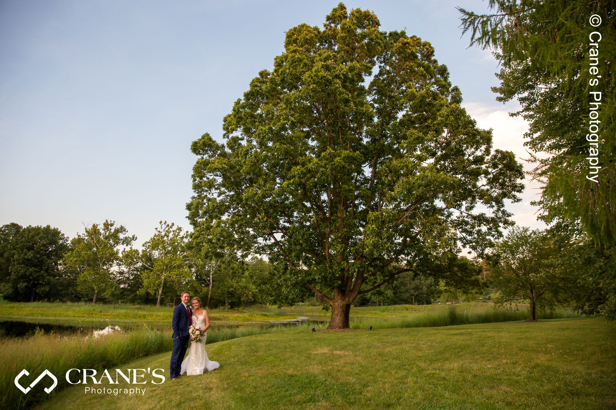 Bride and groom pose in front a large tree near Meadow Lake