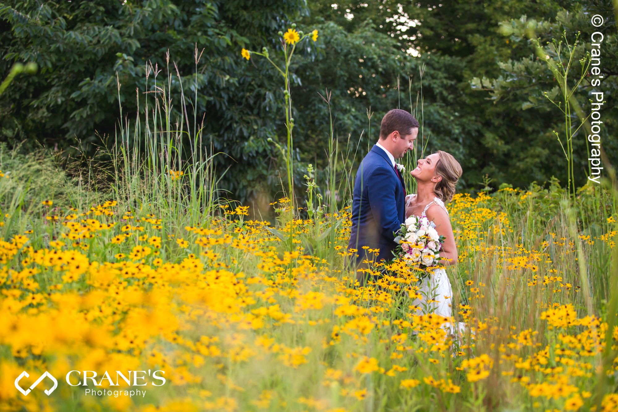 Wedding image of a bride and groom posing on a field of yellow flowers near the Welcome Center at the Morton Arboretum