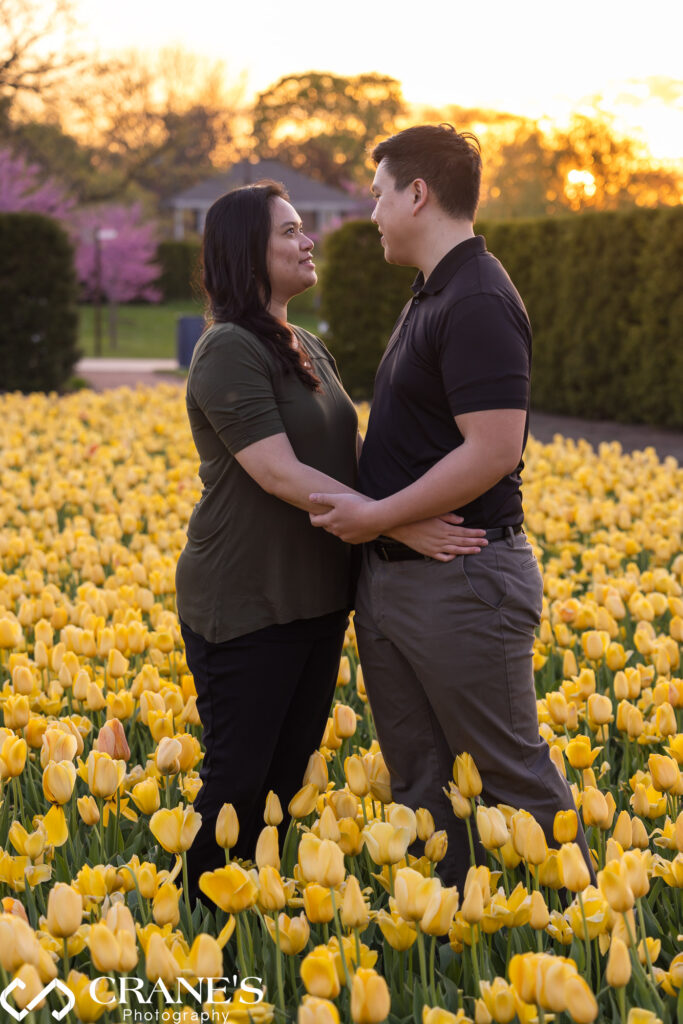 Engagement photo with fields with yellow spring flowers at Cantigny Park.