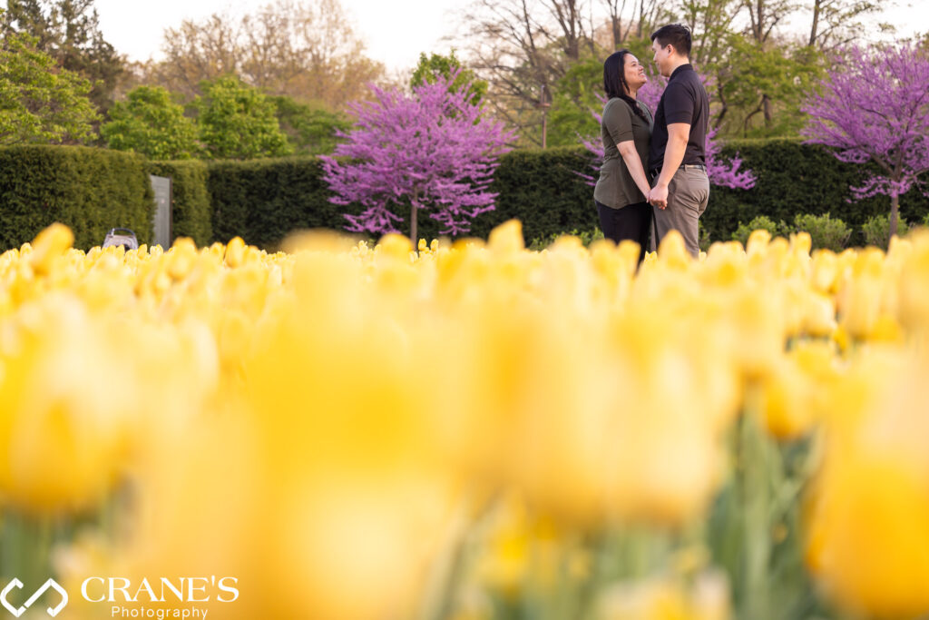 A Spring Engagement at Cantigny Park with yellow tulips