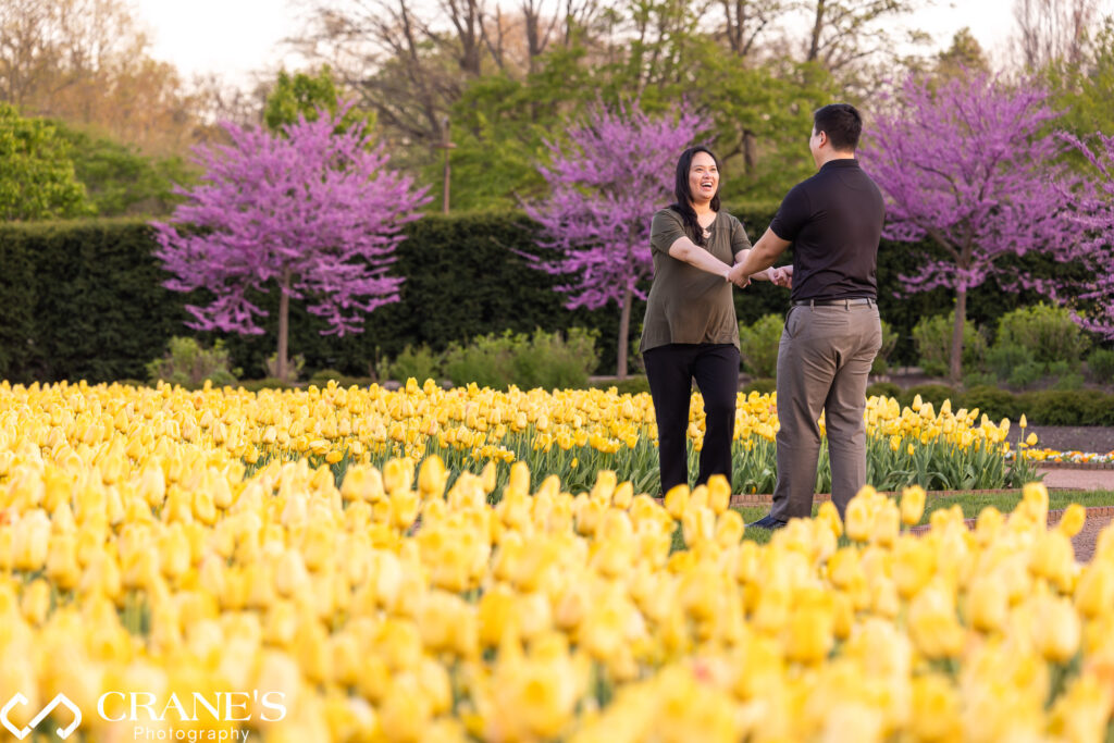Engagement photo at Cantigny Park with yellow flowers in the spring.