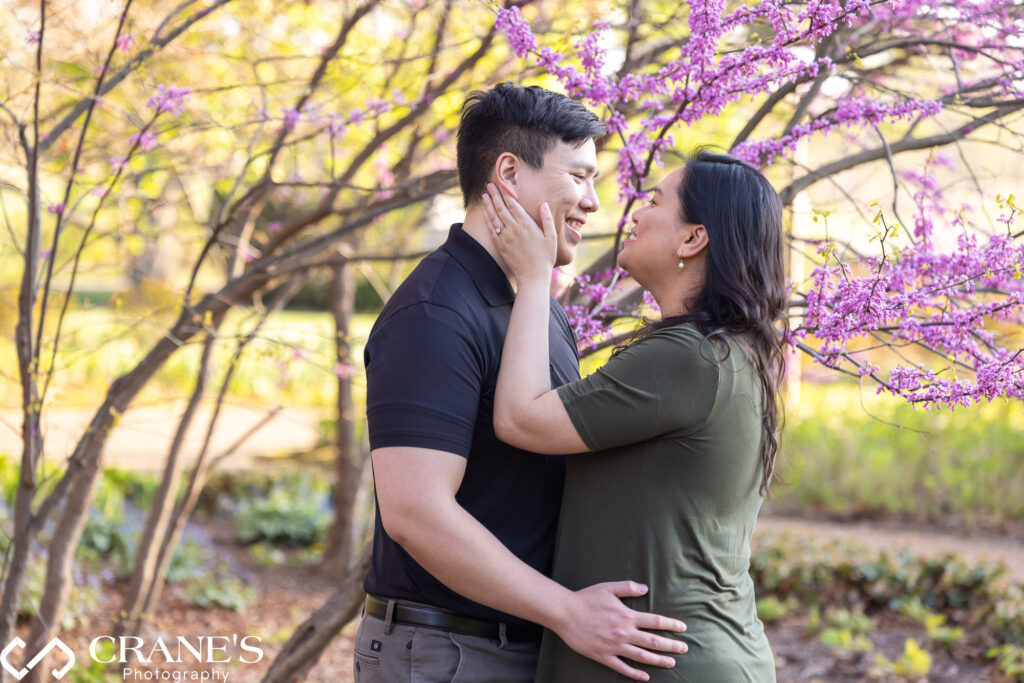 Cantigny Park engagement photo with purple flowering tree in spring.