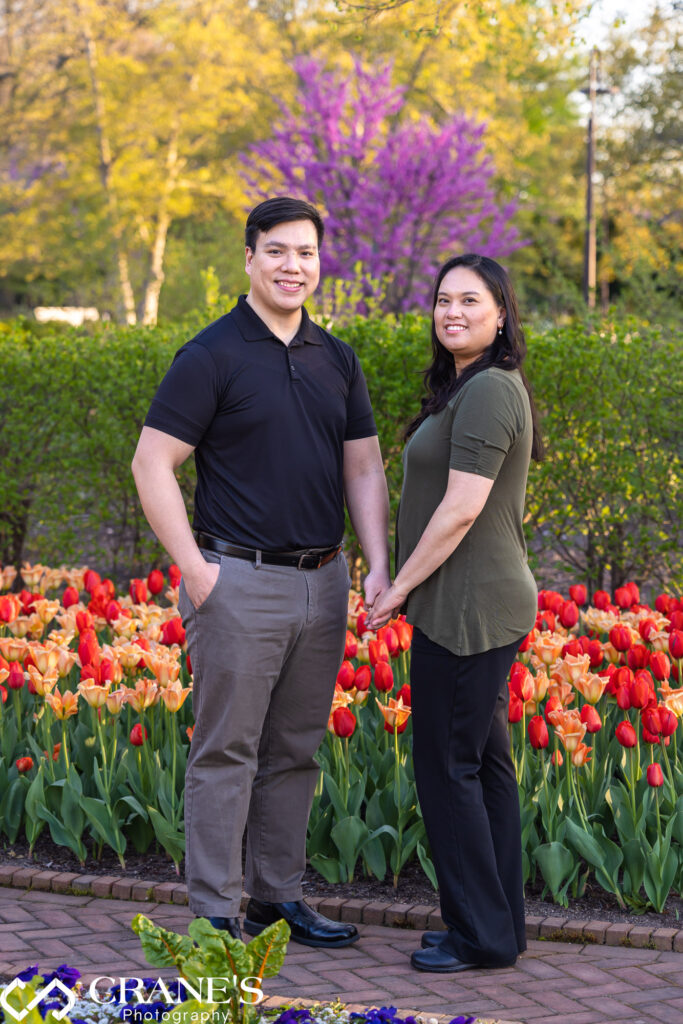 A Spring Engagement at Cantigny Park with many tulips in the background.