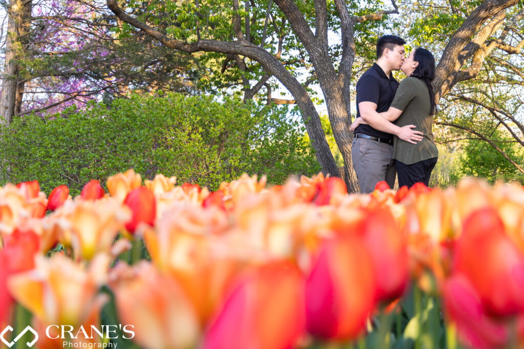 Creative composition engagement photo taken in spring at Cantigny Park.