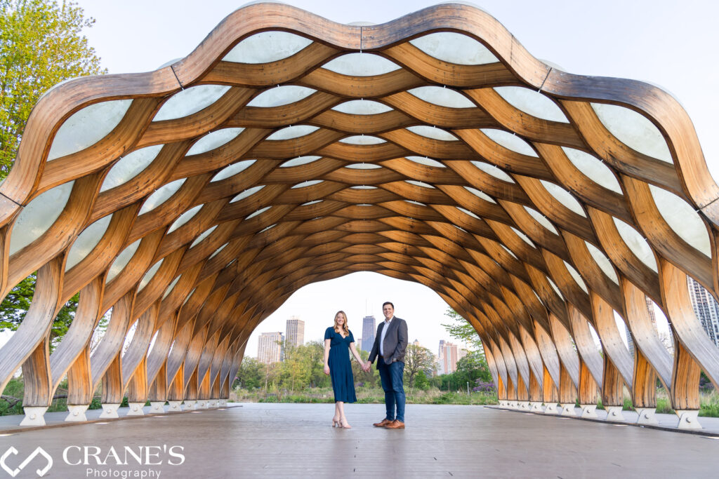A wide-angle engagement session photo of the honeycomb at Lincoln Park