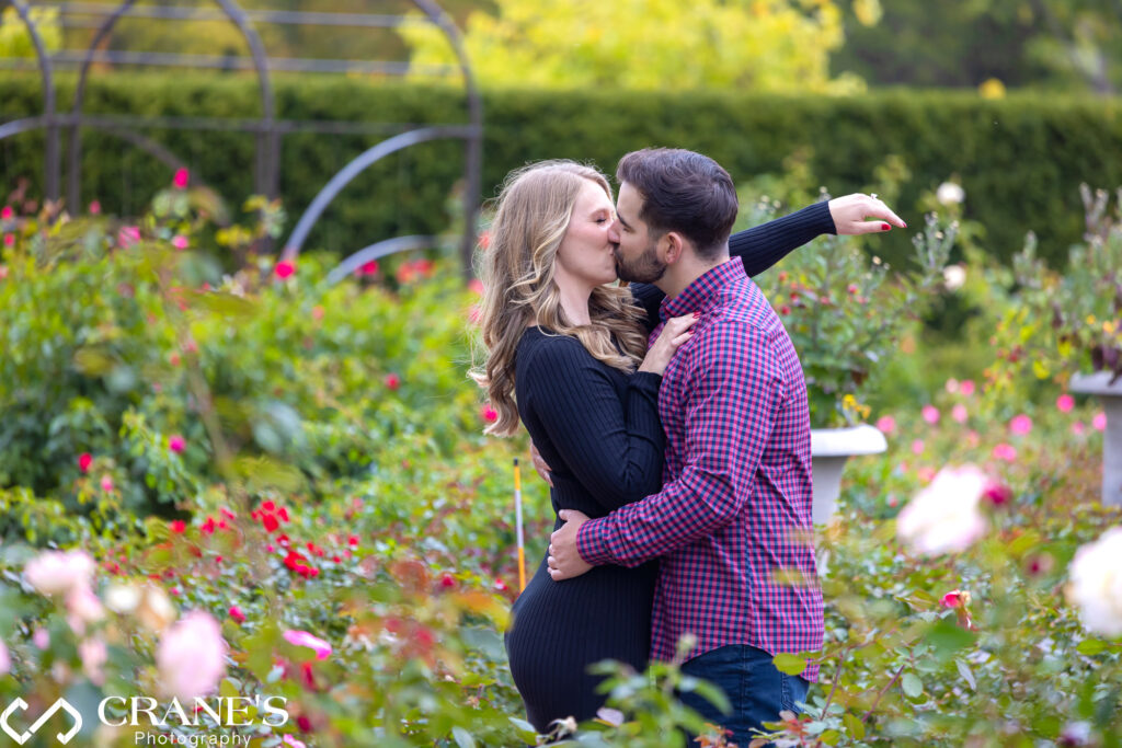 An engaged couple sharing a kiss in a beautiful rose garden at Cantigny Park during the fall season.